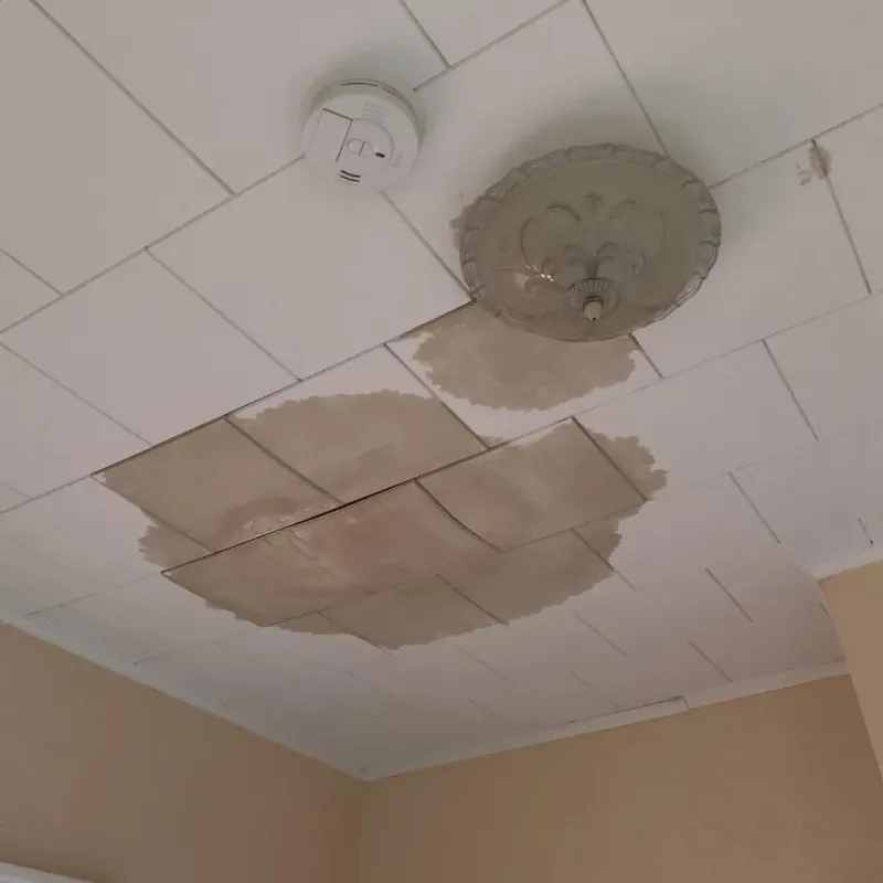 Ceiling Water Damage Repair in March Air Force Base, CA