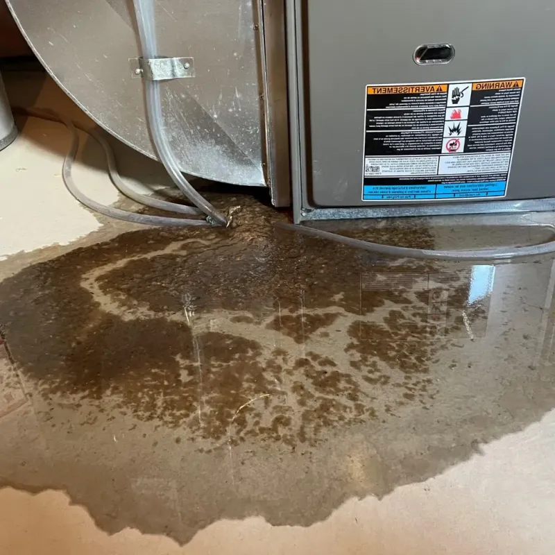 Pipe Burst and Leak Restoration in March Air Force Base, CA